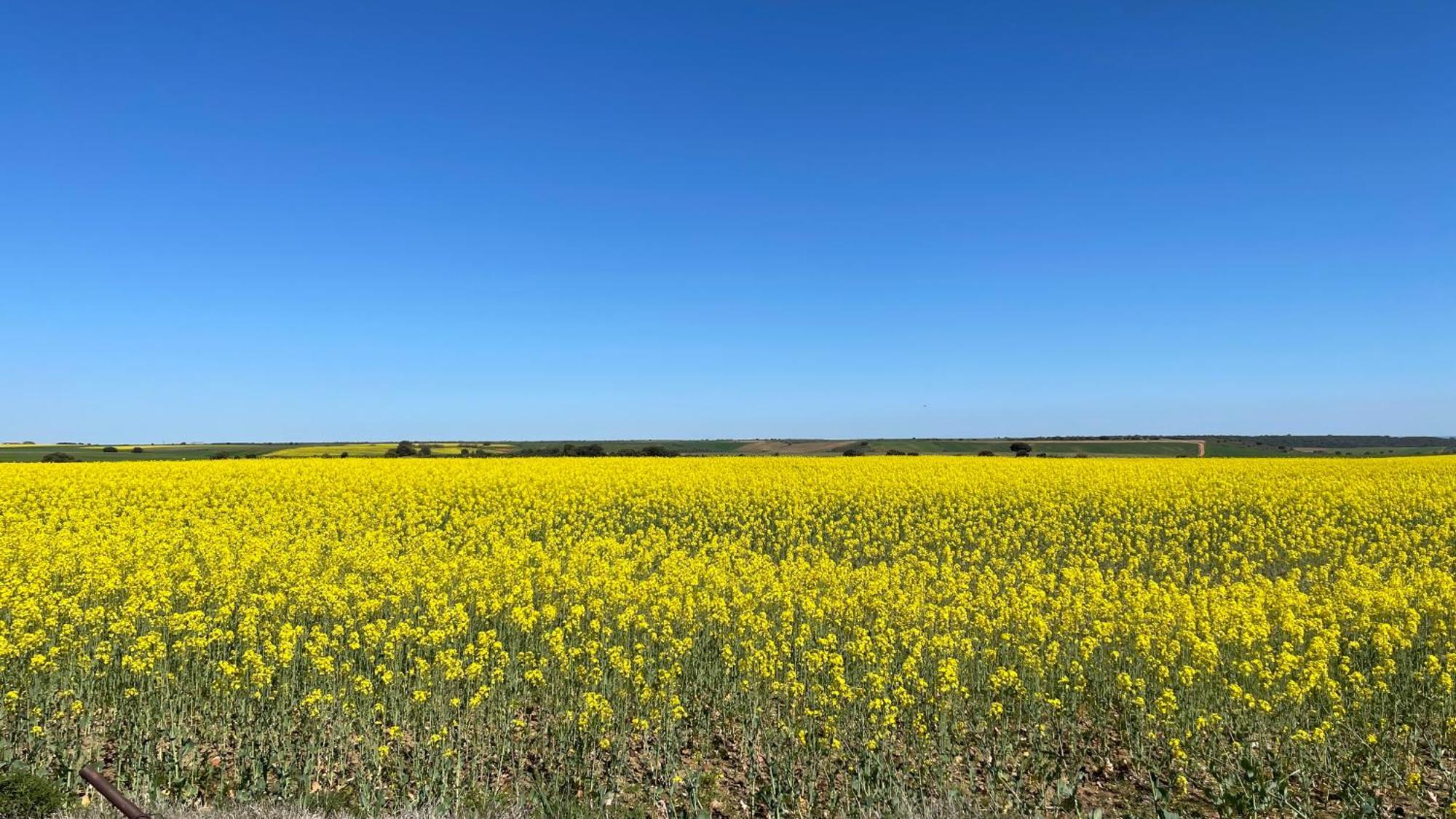Los Cipreses De Mesones Mesones  エクステリア 写真